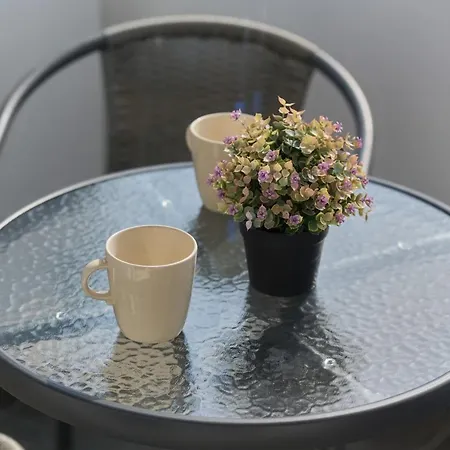 Norwida With Balcony Downtown By Renters Apartment