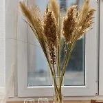 Apartment Norwida With Balcony Downtown By Renters Breslau